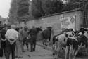 Visualizza foto: Fiera autunnale 1980